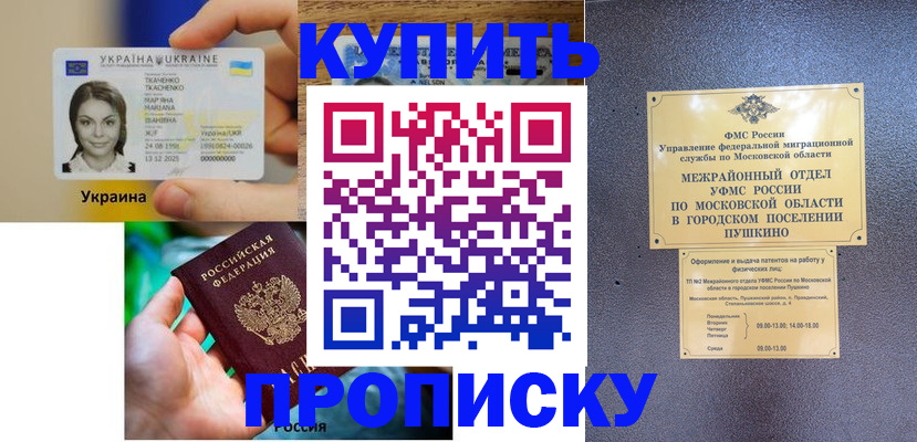 прописка законно в Светлограде